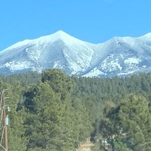 Meet your Posher, Robbie